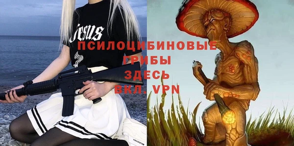 гашиш Богородицк