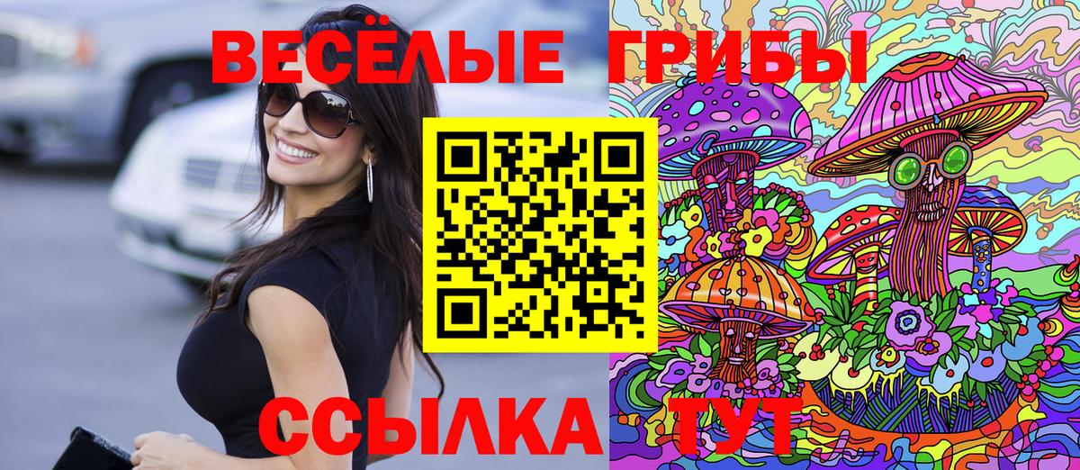 Псилоцибиновые грибы мицелий  Дубна 