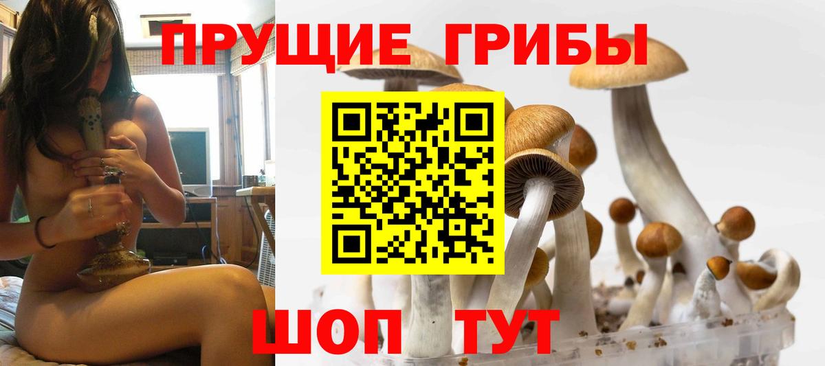 Дубна  Псилоцибиновые грибы мухоморы  Вход с VPN 